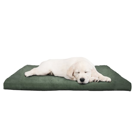 Pet Adobe 3 Inch Foam Pet Bed-25.5x19 Inches-Forest